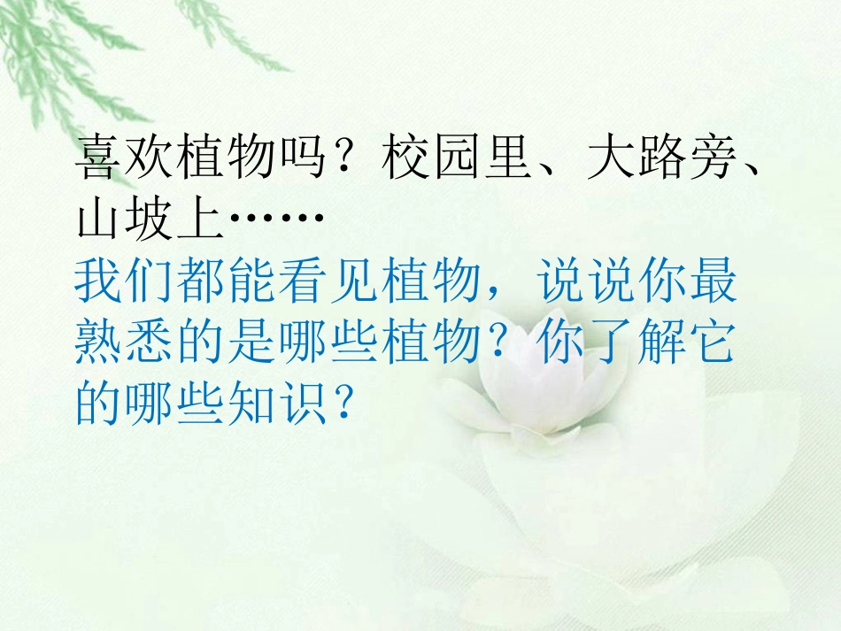 《我看到了什么》教学课件1_第2页