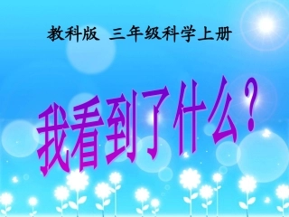 《我看到了什么》教学课件1