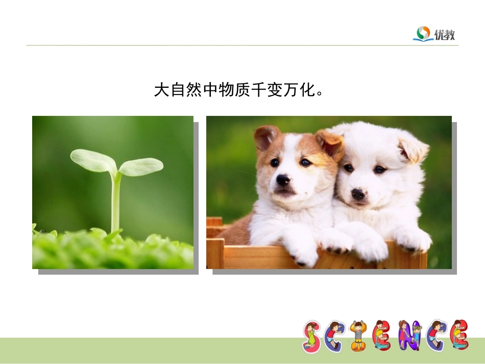 《蜡烛的变化》教学课件_第1页