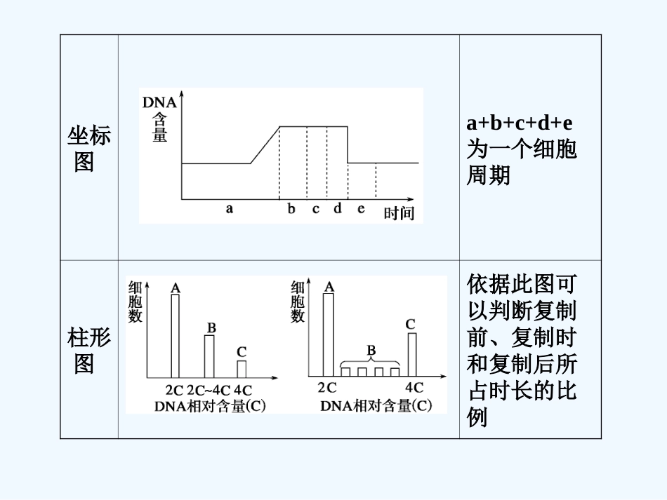 【步步高】2011版高考生物二轮复习 第一部分 专题三 第一讲 细胞分裂和受精作用课件_第3页