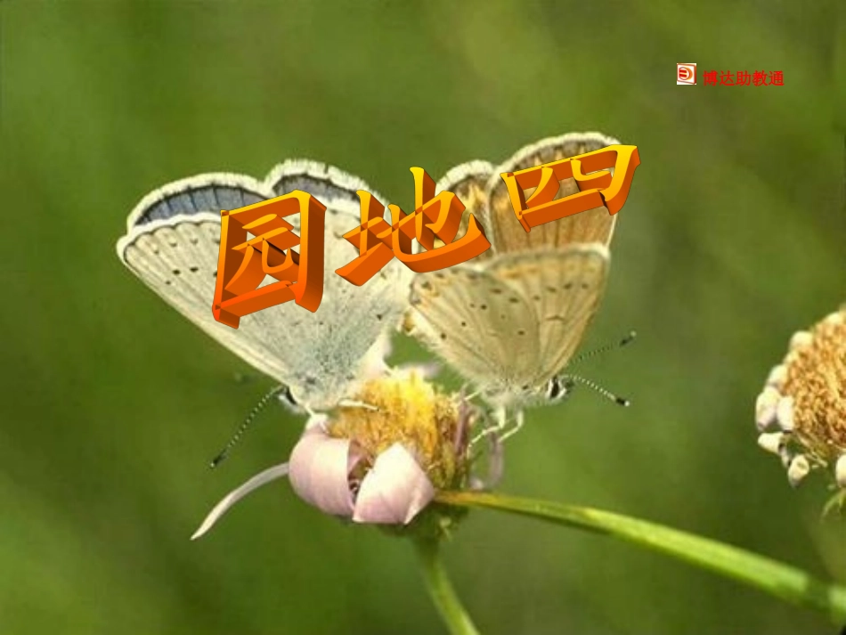 《语文园地四》课件1 (2)_第1页