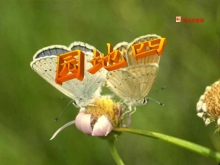 《语文园地四》课件1 (2)
