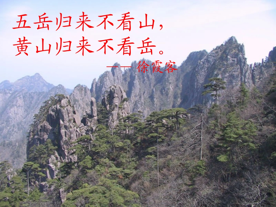 《黄山奇松》课件2_第2页