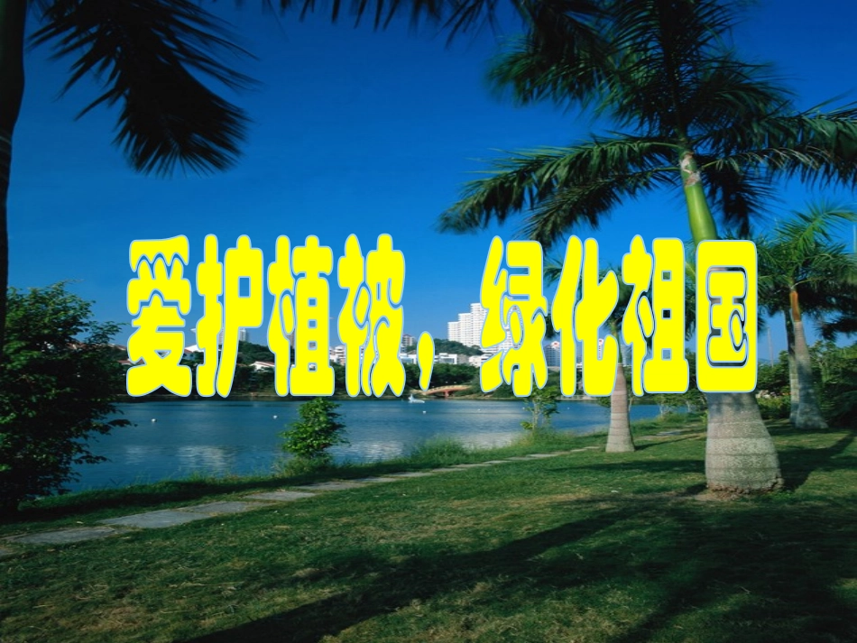 《爱护植被，绿化祖国》课件2_第1页