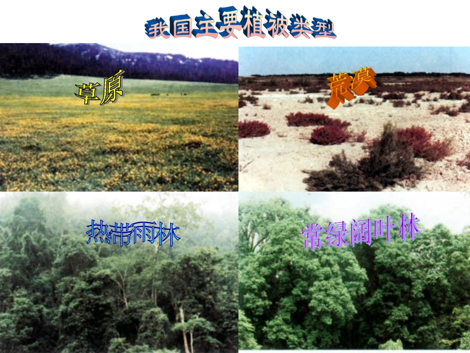 《爱护植被，绿化祖国》课件2_第2页