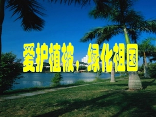 《爱护植被，绿化祖国》课件2