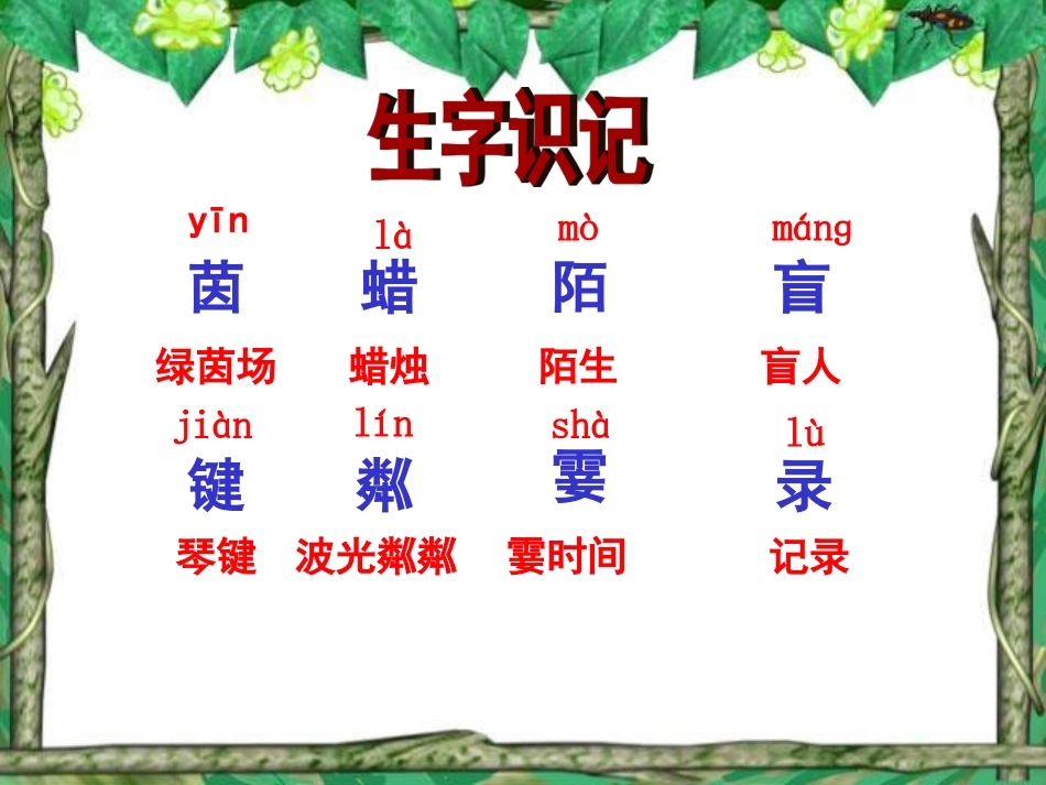 《月光曲》课件_第3页