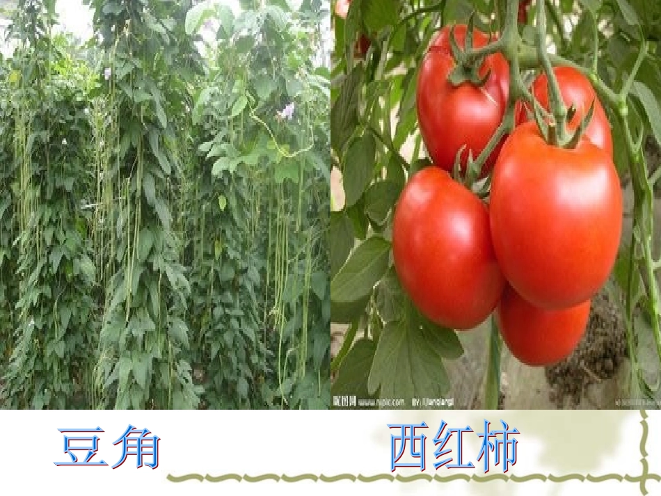 一年级语文上册第四单元15一次比一次有进步课件-副本_第2页