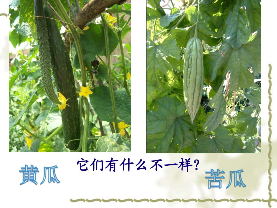 一年级语文上册第四单元15一次比一次有进步课件-副本_第3页