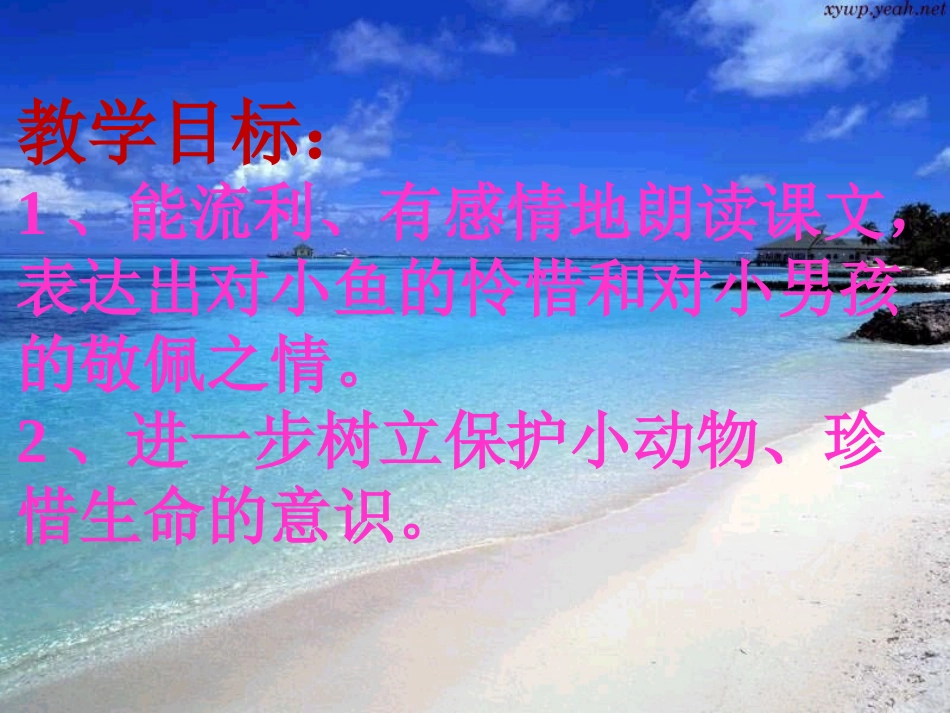 《浅水洼里的小鱼》第二课时PPT_第3页