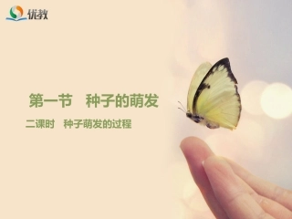 《种子的萌发》第二课时优教课件