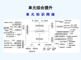 【创新设计】2011届高考生物一轮复习 第二单元 单元综合提升 动物生命活动的调节和免疫课件 浙科版必修3