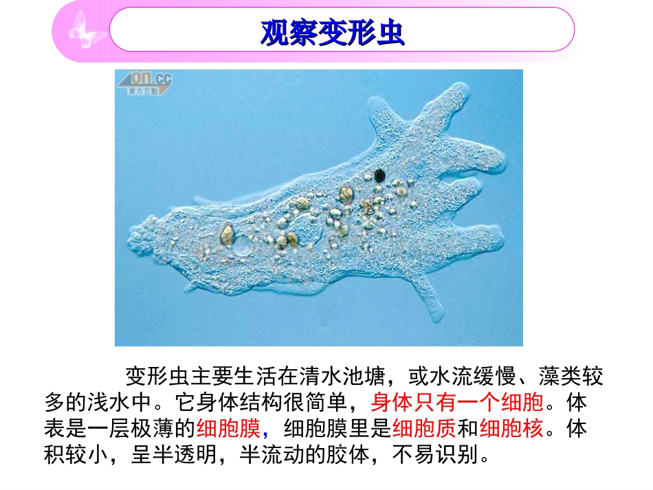 《细胞是生命活动的单位》_第2页