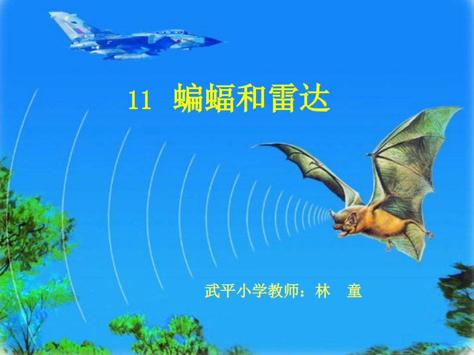 《蝙蝠和雷达》课件【20页】 (2)_第2页