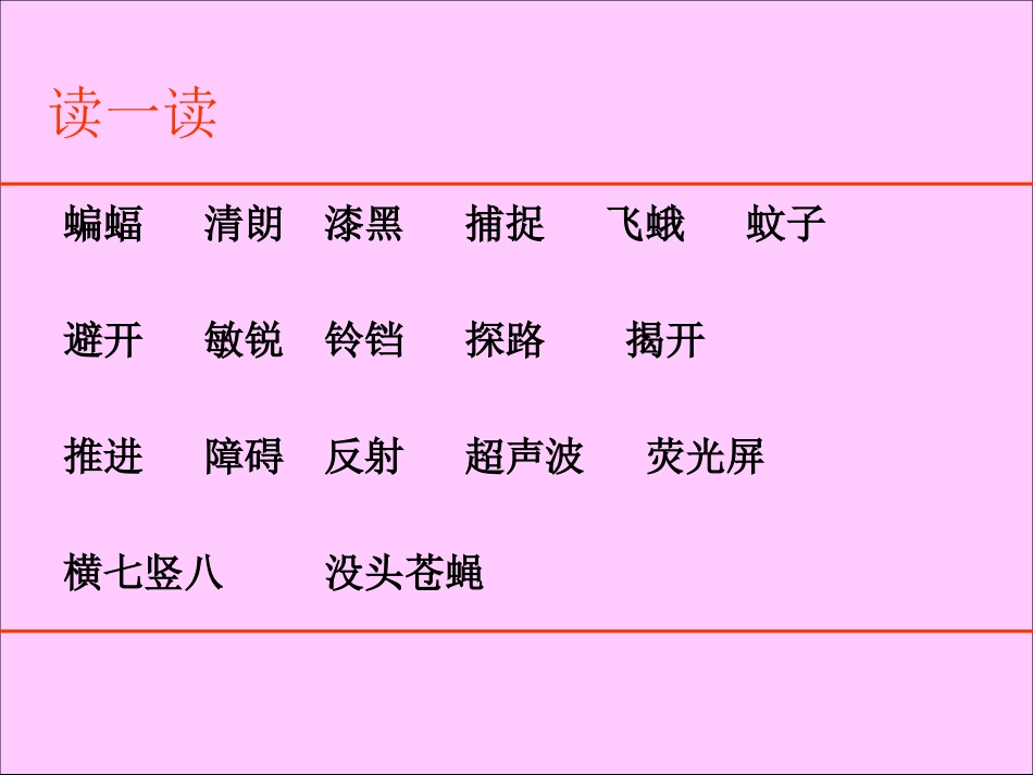 《蝙蝠和雷达》课件【20页】 (2)_第3页