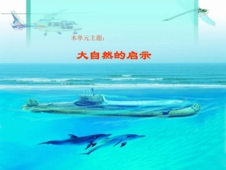 《蝙蝠和雷达》课件【20页】 (2)