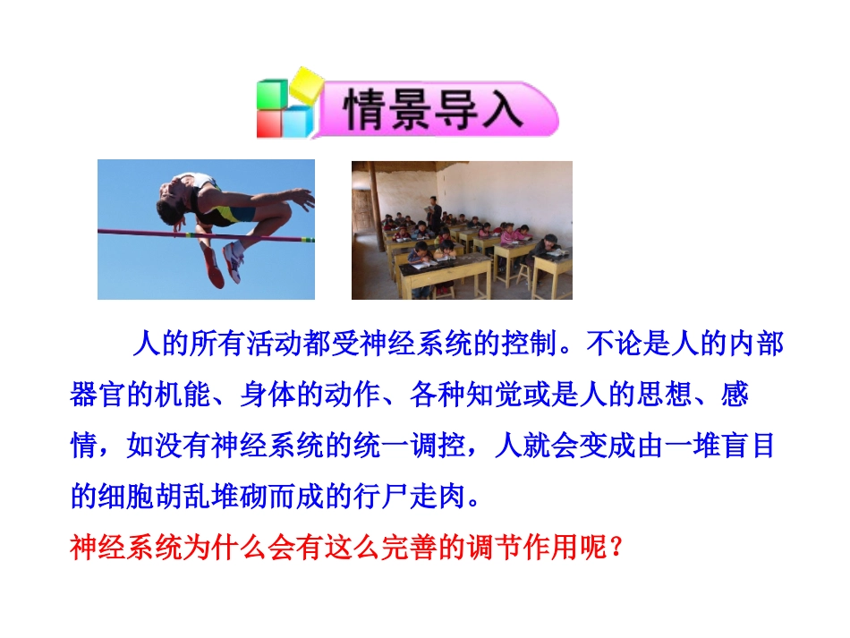 《神经系统的组成》_第2页