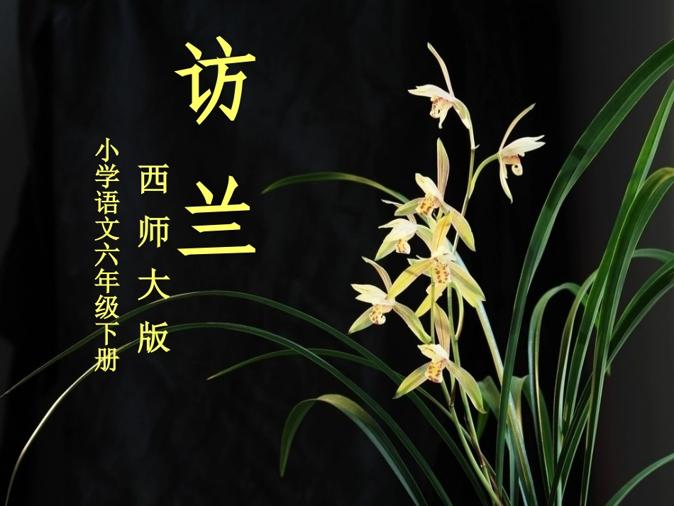 《访兰》教学课件_第1页