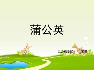 《蒲公英》PPT课件
