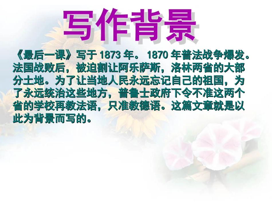 《最后一课》教学课件_第3页