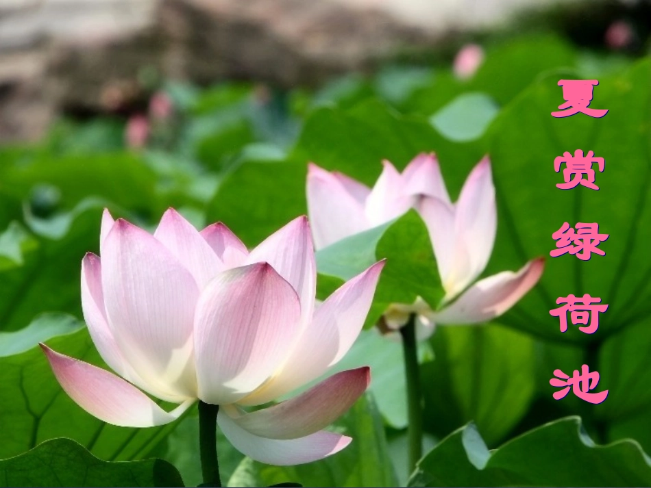 《济南的冬天》(1)_第3页