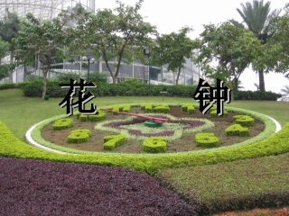 《花钟》课件【17页】