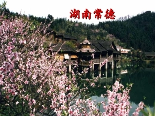 《桃花源记》 (4)