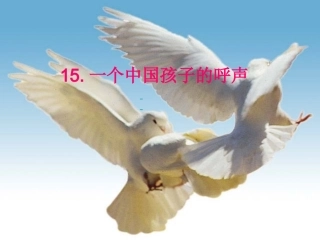 一个中国孩子的呼声PPT (2)