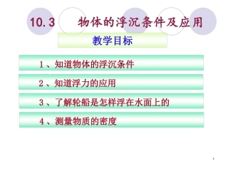 《物体的沉浮条件及应用》课件2