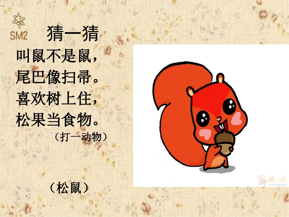 《跑进家来的松鼠》公开课PPT (2)_第1页