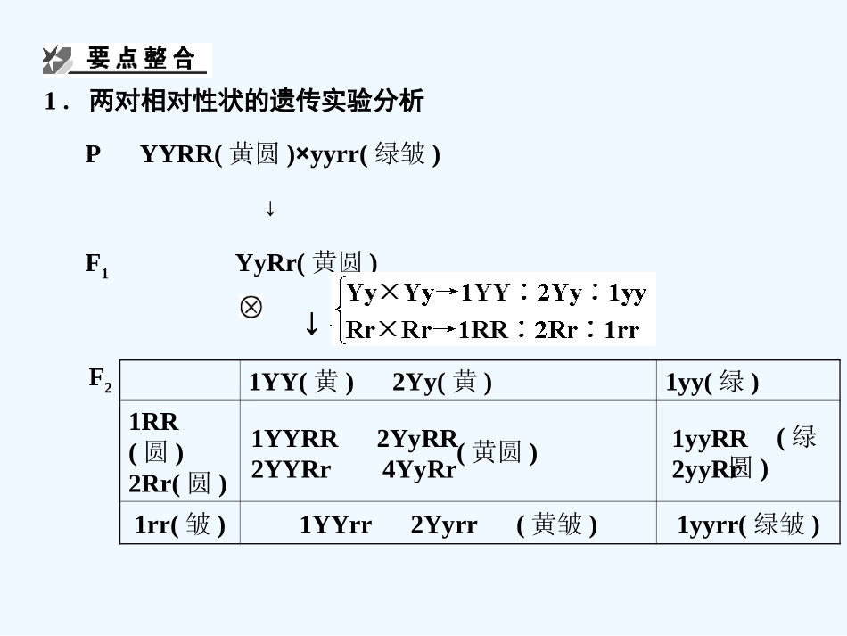 【创新设计】2011届高考生物一轮复习 2-2 基因的自由组合规律课件 中图版必修2_第3页