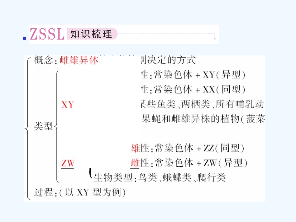 【精品】2011届高考生物第一轮复习经典学案 4-8 性别决定和伴性遗传课件_第3页