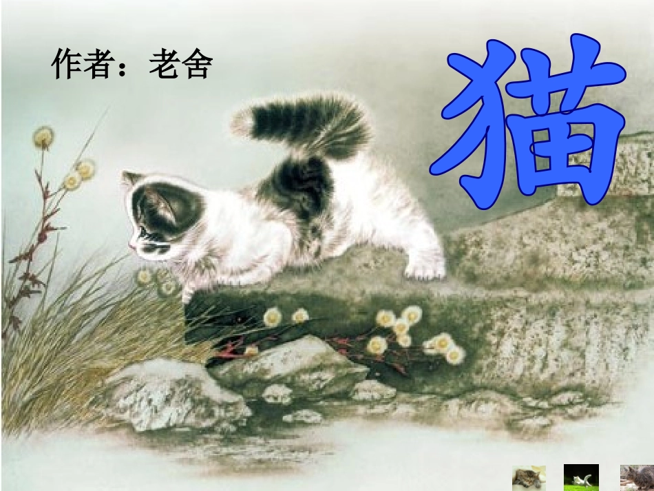 《猫》第二课时--公开课课件_第1页