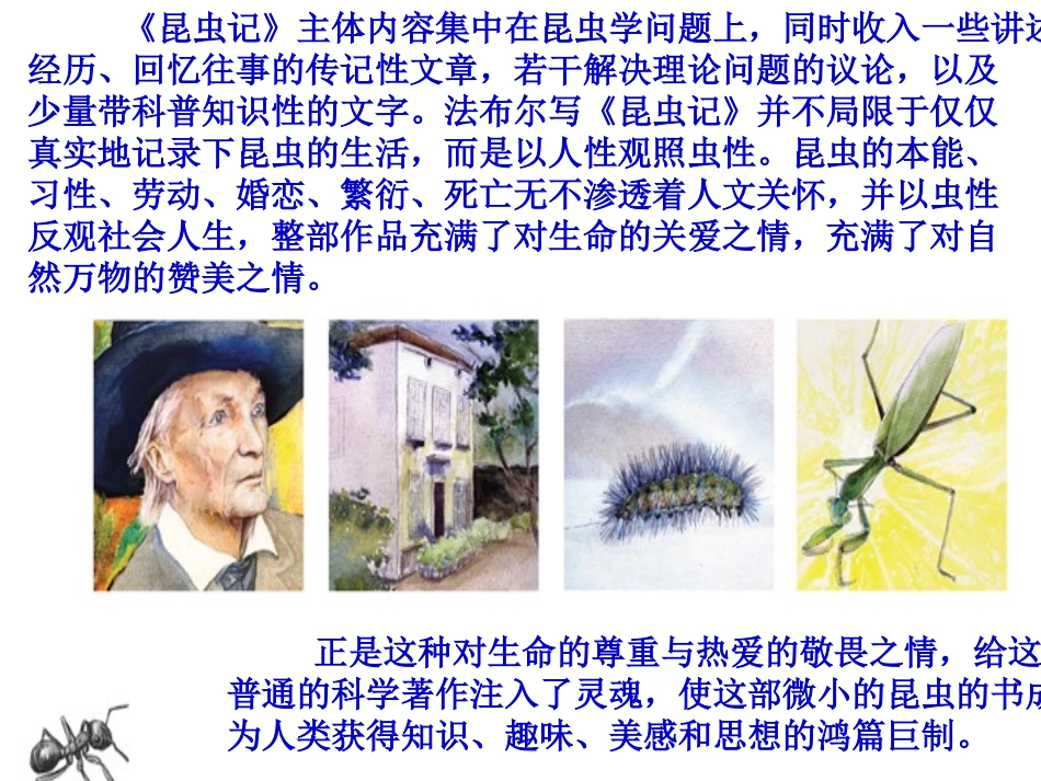 《绿色蝈蝈》课件_第3页