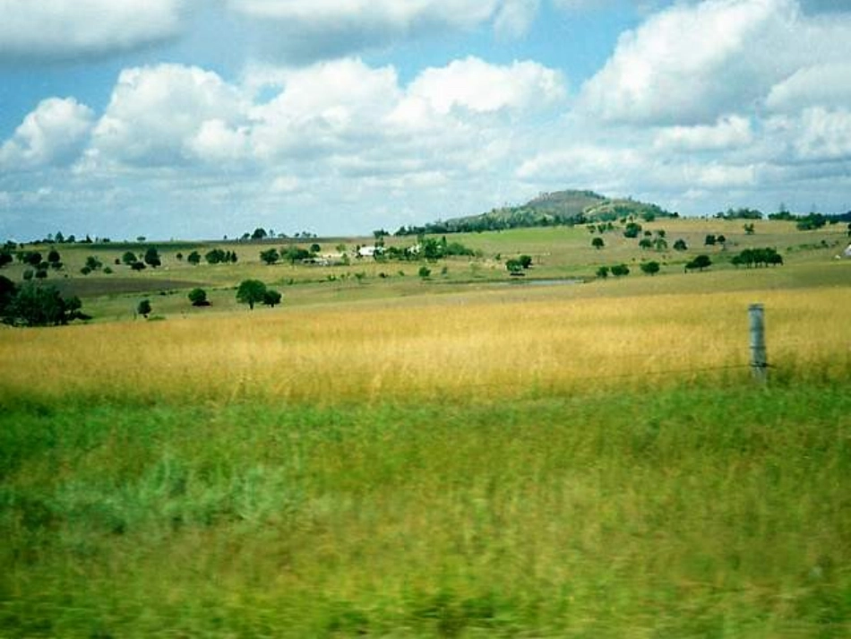 《识字1》PPT课件_第3页