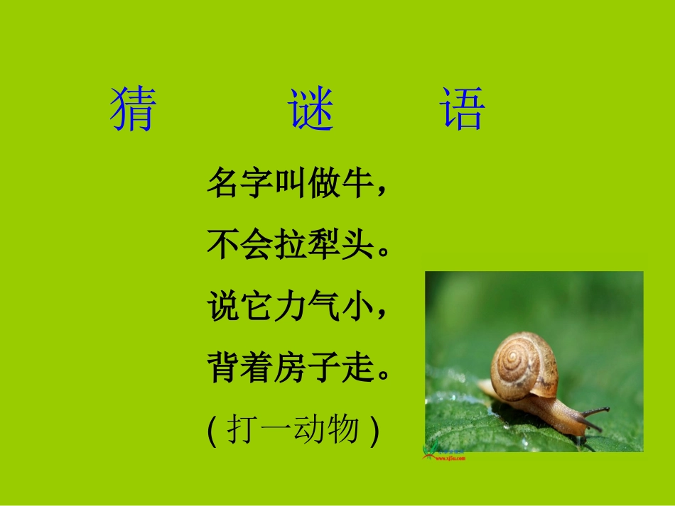 《蜗牛的奖杯》课件(苏教版二年级语文下册课件)_第2页