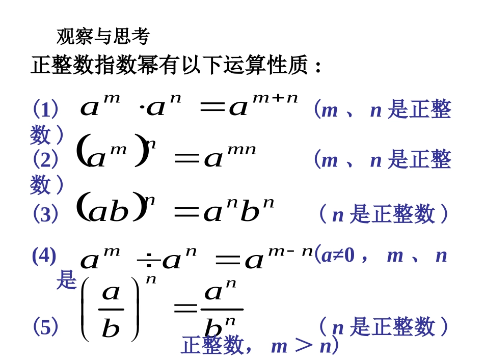 《整数指数幂》课件3_第2页