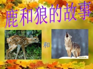 《鹿和狼的故事》课件