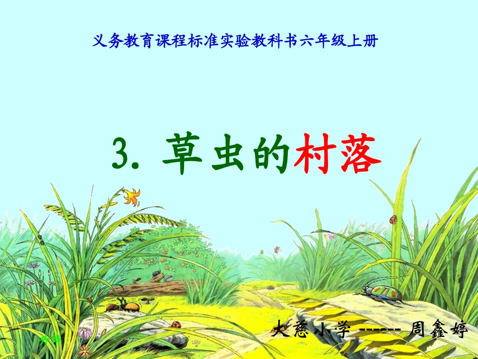 《草虫的村落》课件(1)_第1页