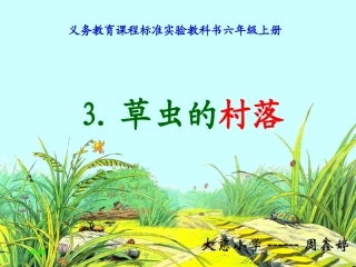 《草虫的村落》课件(1)