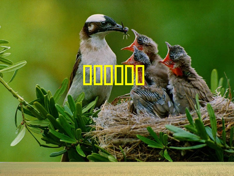 两代人的对话_第1页