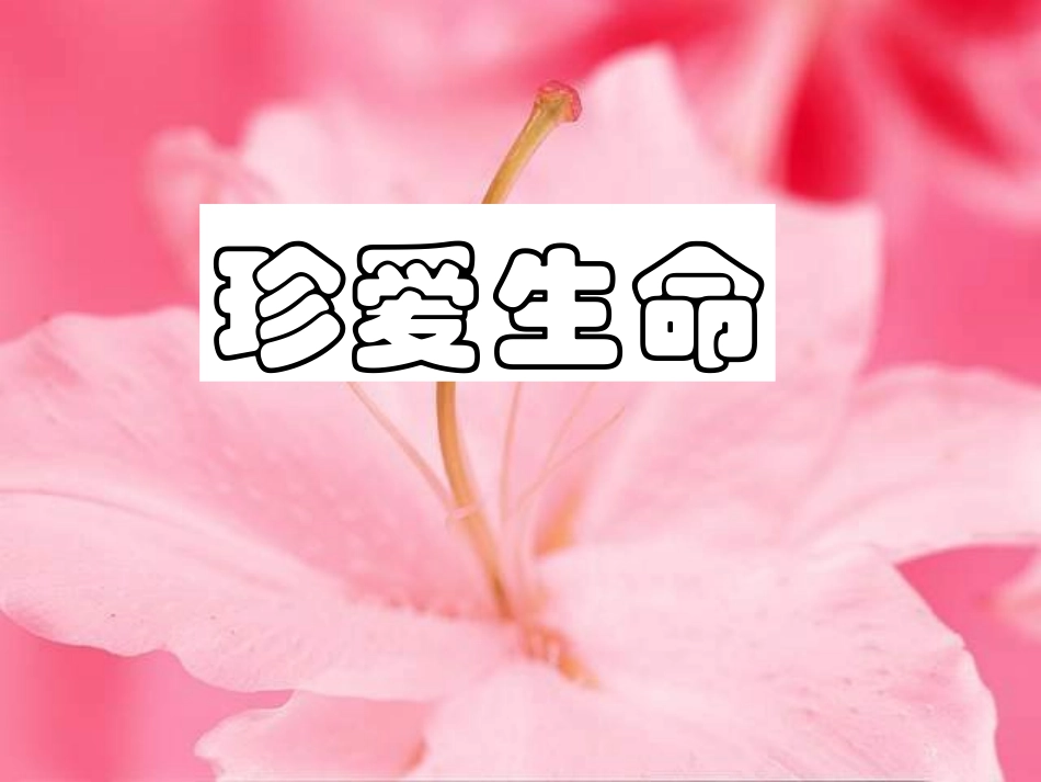 《校园安全教育主题班会》课件_第3页
