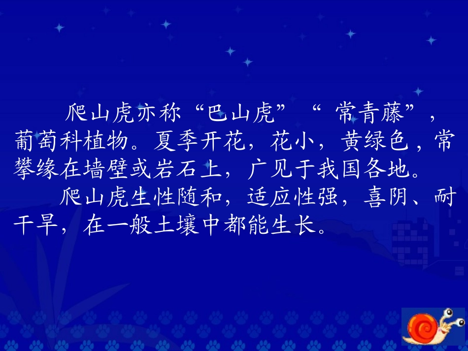 《爬山虎的脚》教学演示课件_第2页