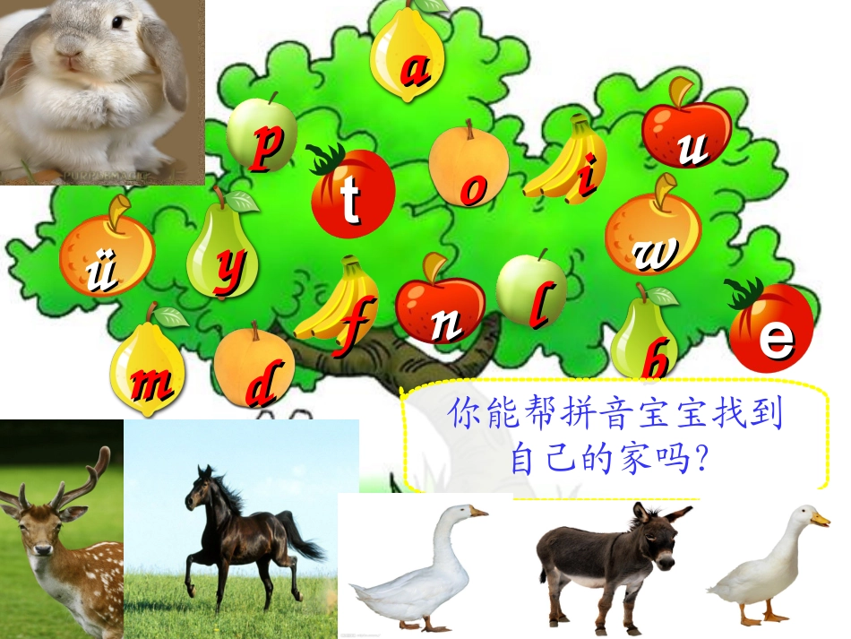 《汉语拼音复习一》教学课件_第2页