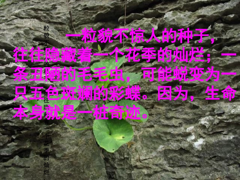 《生命生命》郭得玉讲课课件_第2页