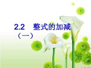 《整式的加减》第一课时参考课件2