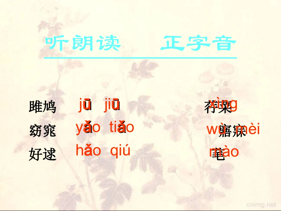 《诗经两首《关雎》《蒹葭》课件改_第2页