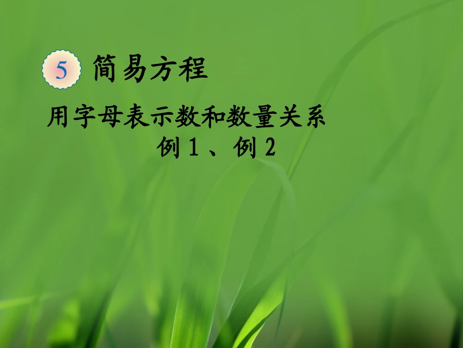 《用字母表示数和数量关系（例1、例2）》教学课件_第1页