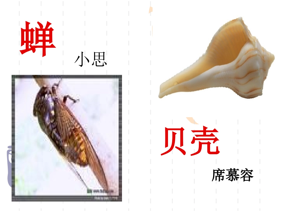 《蝉》、《贝壳》_第3页