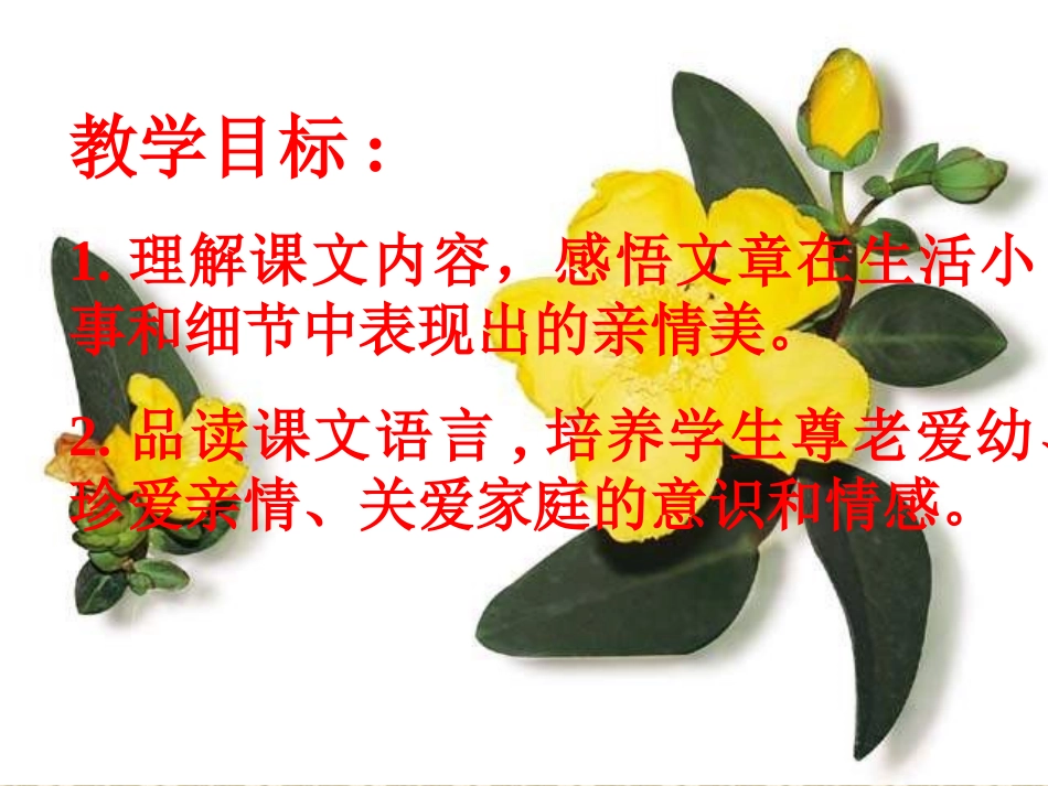 《散步》教学课件4_第2页